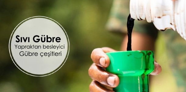 Sıvı Yaprak Gübresi