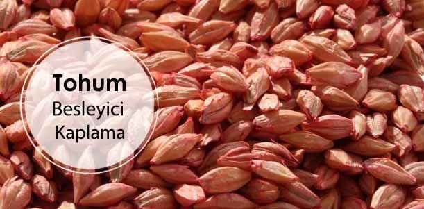 tohum kaplama