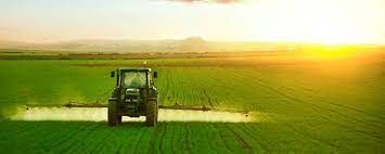 Bor 'un Bitkilerde Önemi