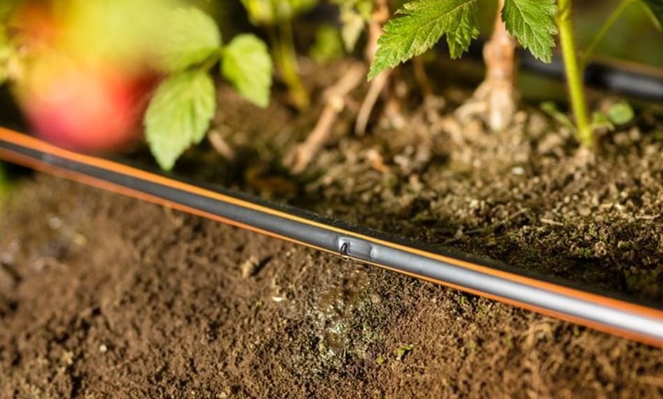 Damlama sulama pahalı bir sistem mi ?