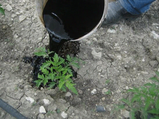 Sulu Hümik Asit (Leonardit ) Faydaları