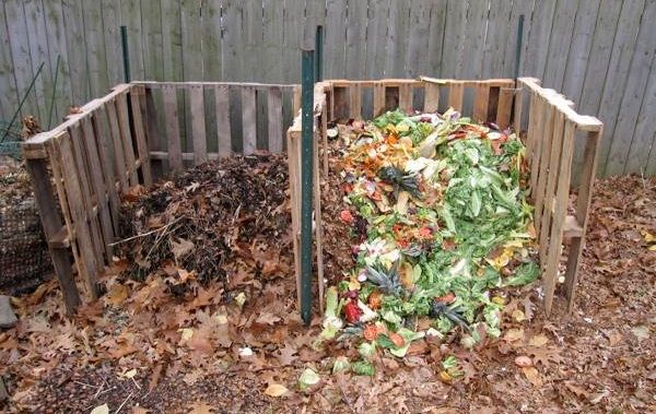 Kompost hazırlama doğal gübre yapımı