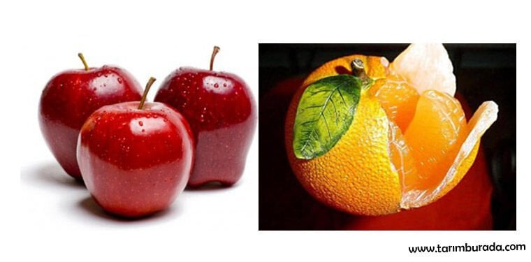 Bitkilerde Potasyum Kullanımının Önemi