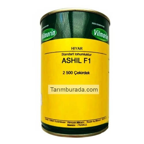 Hıyar Tohumu ASHIL F1 2500 Çekirdek