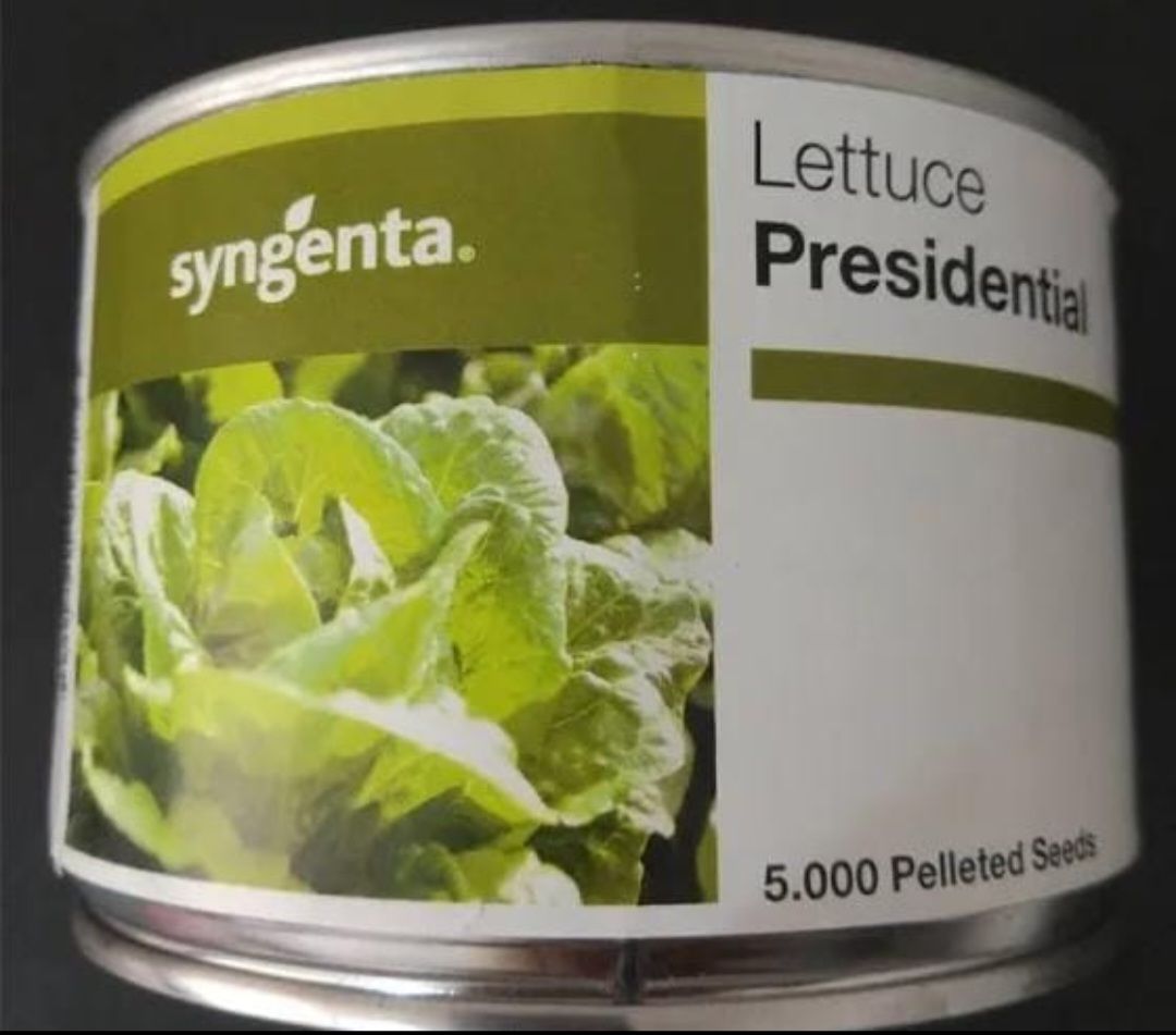 Marul Tohumu Presidential 5000 Çekirdek