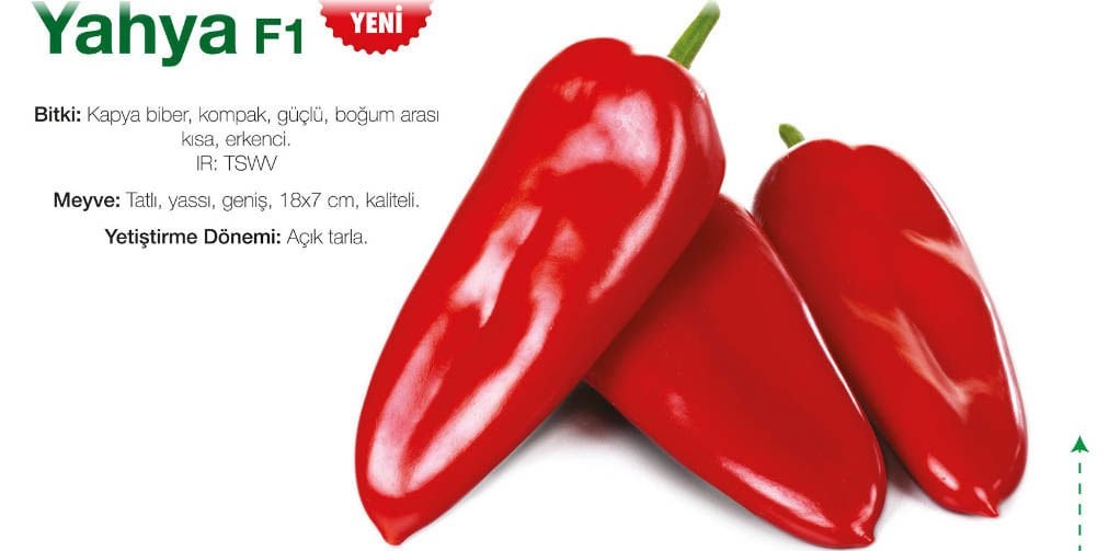 Yahya F1 - Erkenci Tatlı Kapya Biber Tohumu 1000 Çekirdek