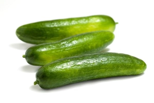 Turşuluk HıyarTohumu Samara  F1 2500 Çekirdek