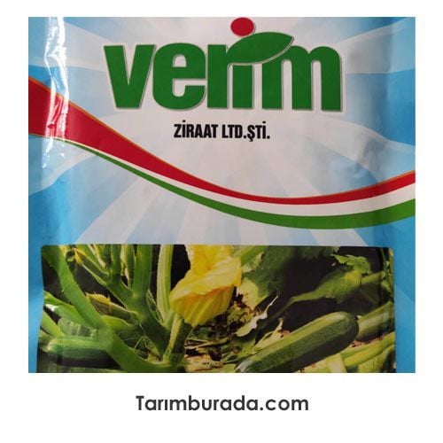 Kabak  Tohumu Yağız F1 500 Çekirdek