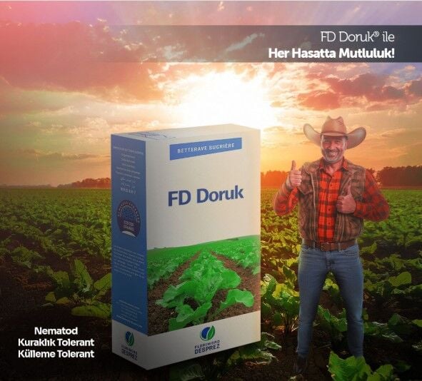 Doruk Şeker Pancarı Tohumu Kaplı İlaçlı -100.000 Adet