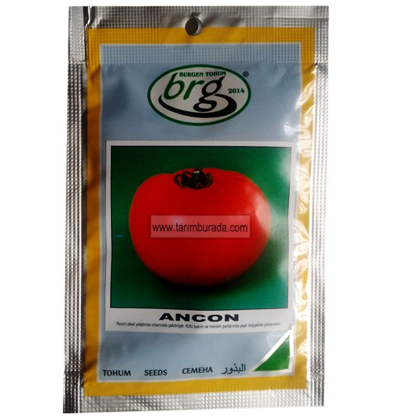 Domates Tohumu  Süper Ancon - 10 Gr