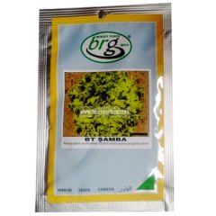 Marul Tohumu Şamba Kıvırcık - 10 Gr