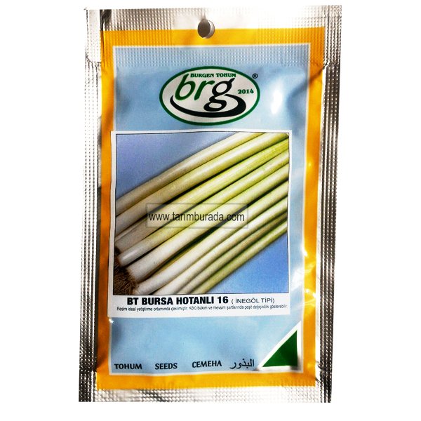 Pırasa Tohumu Hotanlı Pırasa İnegöl Tipi - 10 Gr