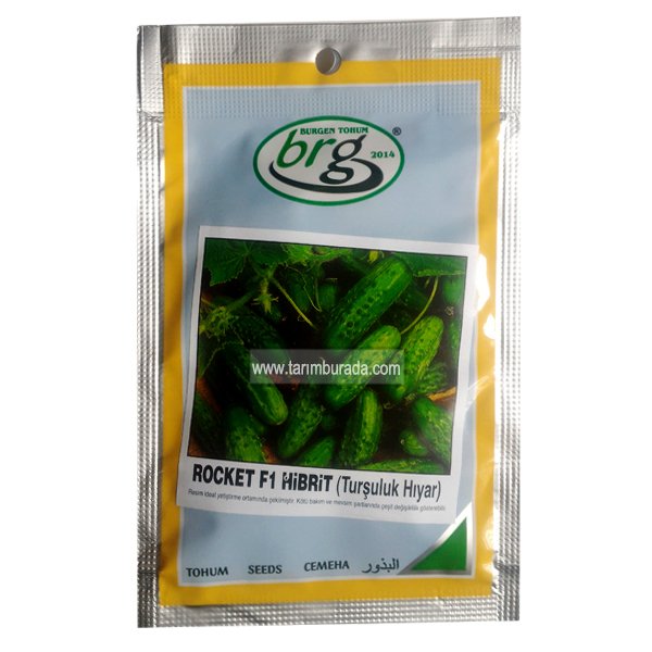Turşuluk Kornişon Salatalık Tohumu Hibrit Rocket  F1 - 10 Gram