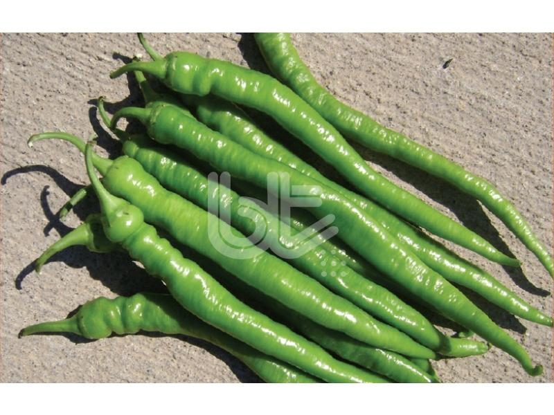 Biber Tohumu Demre Sivrisi 25 Gr