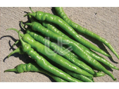 Biber Tohumu Demre Sivrisi 25 Gr