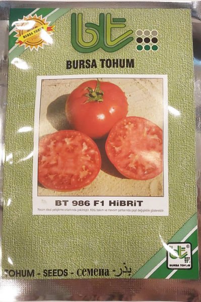Domates Tohumu Oturak Bt 986 F1 Hibrit 1000 Adet