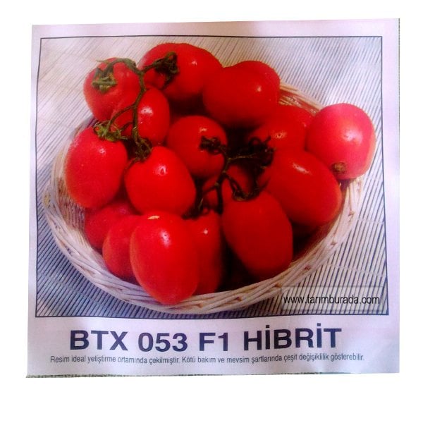 Domates Tohumu - Oturak Sanayi  Btx 053 F1 Hibrit  1000 Adet