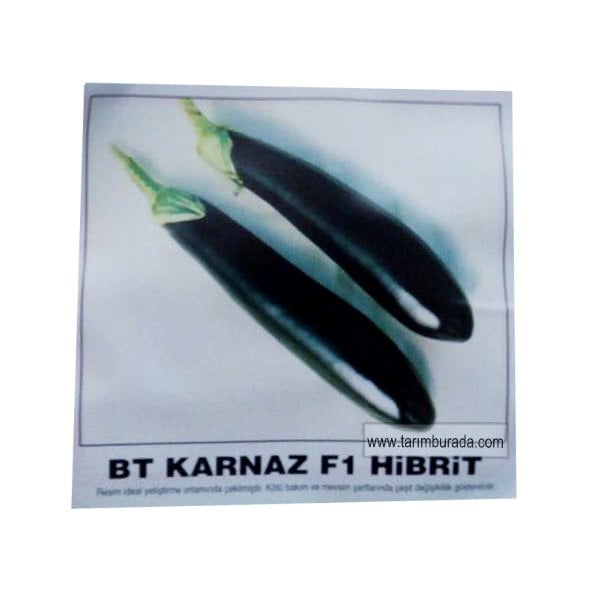 Uzun Patlıcan Tohumu  Karnaz F1 Hibrit 1000 Çekirdek