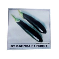 Uzun Patlıcan Tohumu  Karnaz F1 Hibrit 1000 Çekirdek