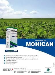 Mohican Pancar Tohumu Kaplamalı