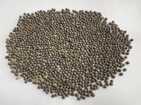 Adi fiğ Tohumu 25 Kg