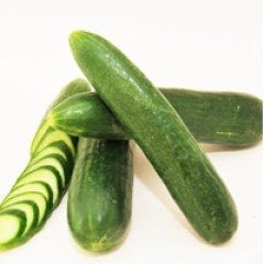 Altay F1 Hibrit Hıyar Tohumu - 2500 Adet