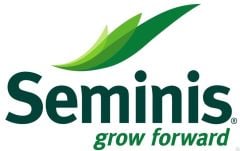 FDR 8565 F1 Hibrit Domates Tohumu - 1000 Adet