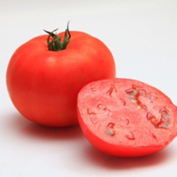 MİRSİNİ F1 Hibrit Domates Tohumu - 1000 Adet