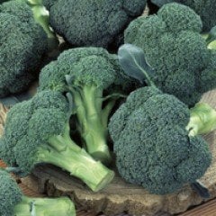 İRONMAN Hibrit F1 Brokoli 2500 Adet