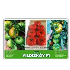 Yıldız Köy  F1 Hibrit Domates Tohumu - 30 Adet