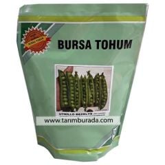 Utrillo Bezelye Tohumu 1 Kg