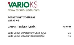 Sulu Kükürt Vario Kükürt +Potasyum 1 litre