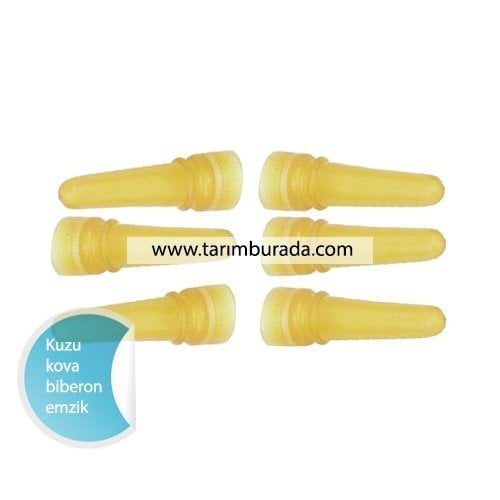 Kuzu Emzirme Kovası emzik 6 Adet