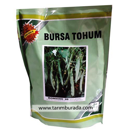 Oturak Fasulye Tohumu (Romano 26) 1 Kg