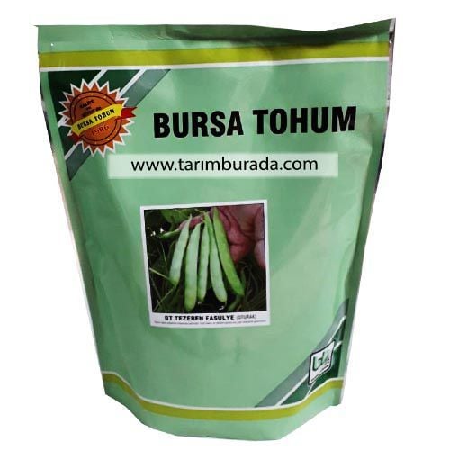 Oturak Erkenci Gina Tip Fasulye Tohumu Tezeren 1 Kg