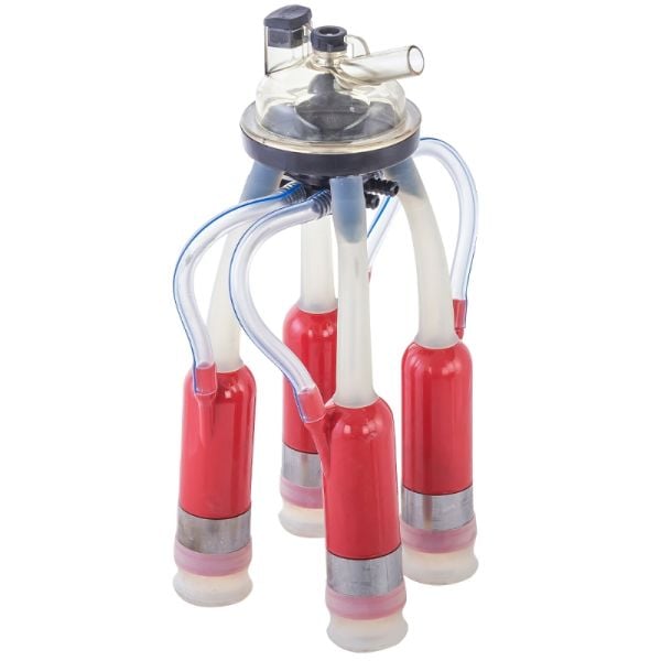 Süt Sağım Pençe Takımı Silikon 240 cc