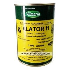 Hıyar Tohumu Alator F1 2500 Çekirdek