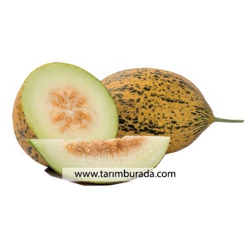 Kavun Tohumu Anka F1 - 1000 Çekirdek