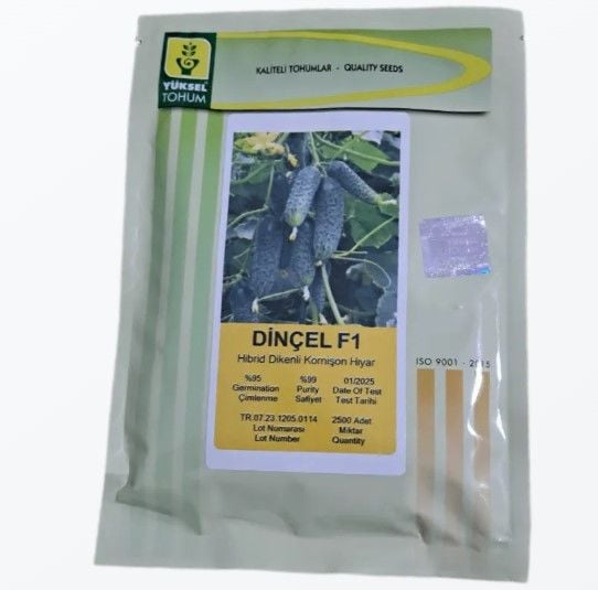 Kornişon Hıyar Tohumu Dinçel F1 2500 çekirdek