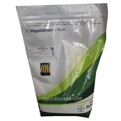 Tatlı Mısır Tohumu  Merit F1  10. 000 Çekirdek