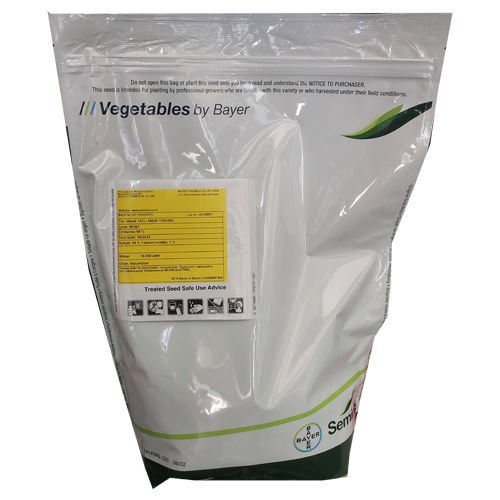 Tatlı Mısır Tohumu  Merit F1  10. 000 Çekirdek