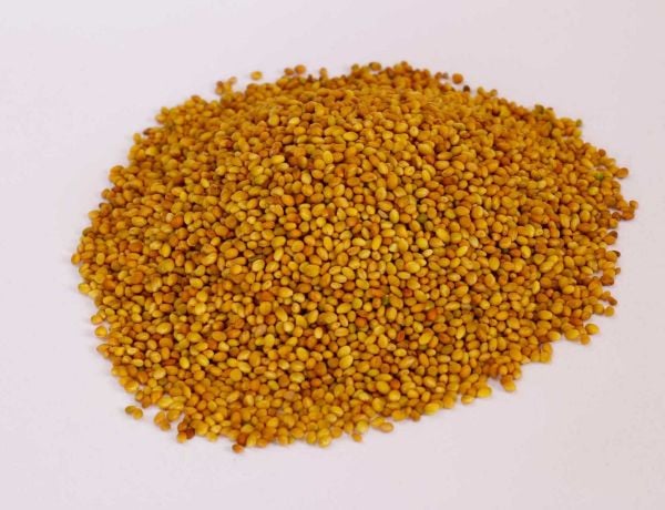 Kapsız  Bilensoy 80 Yonca Tohumu 10 kg