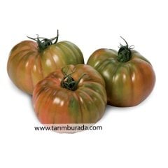 Sırık  Köy Domatesi Alaturka F1 - 1000 Çekirdek
