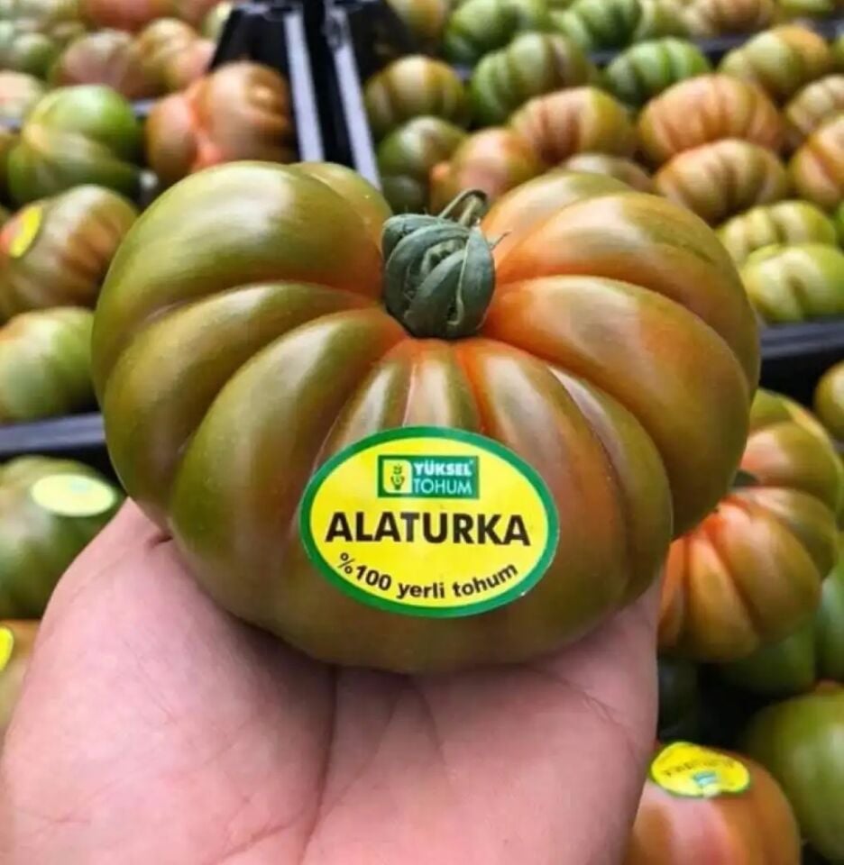 Sırık  Köy Domatesi Alaturka F1 - 1000 Çekirdek