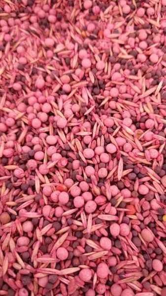 4'lü  Mix Karışımlı  Yem Bitki Tohumu 25 Kg