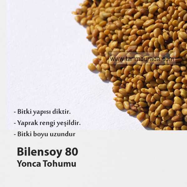 Bilensoy 80 Yonca Tohumu 25 Kg