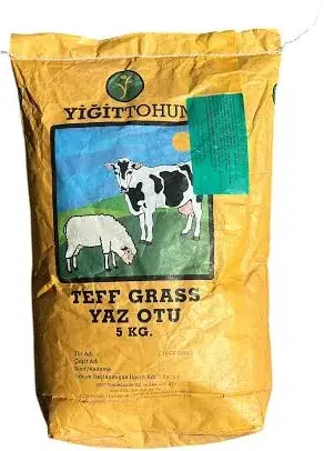 Teff Gras 5 Kg