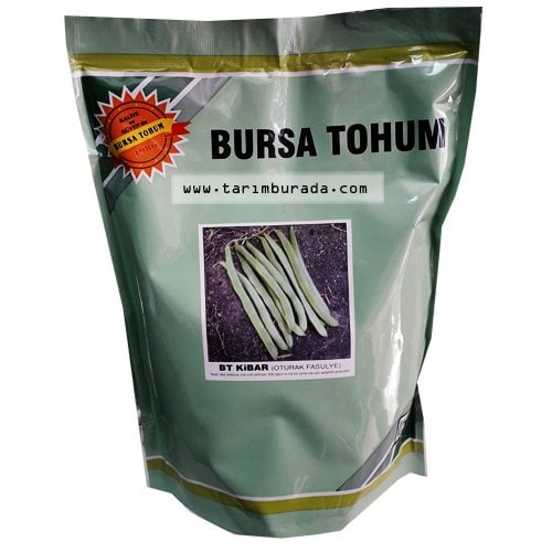 Oturak Fasulye Tohumu Magnum Tip Kibar  1 Kg