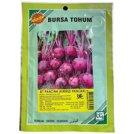 Kırmızı Pancar Pancina 10 Gr