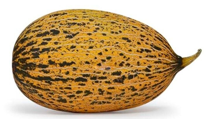 Hermanos F1 Kırkağaç Kavun Tohumu